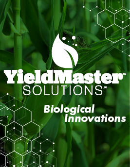 website featured content5.jpg